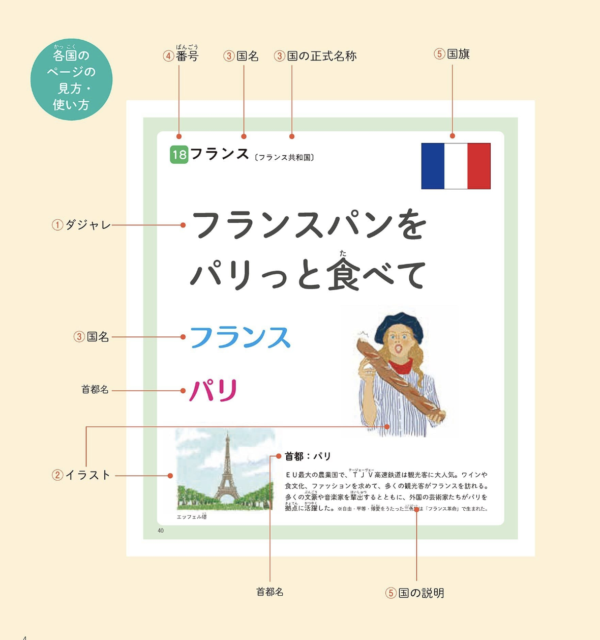 フランスのページを例に、ダジャレ、イラスト、国名、首都名、国旗、国の説明の位置を示した図解。